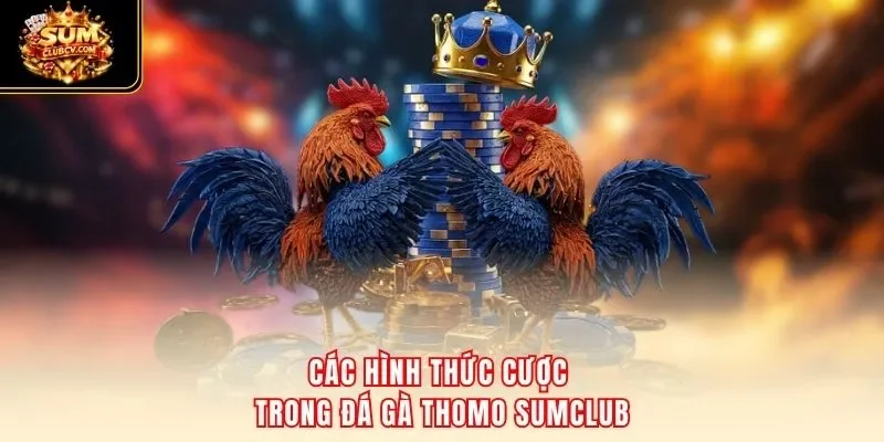 Các hình thức cược trong đá gà Thomo SumClub