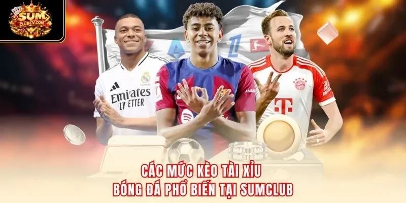 Các mức kèo tài xỉu bóng đá phổ biến tại SumClub