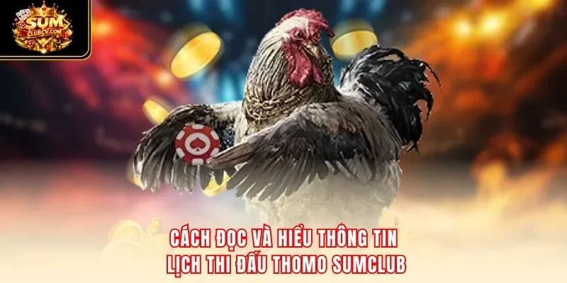 Cách đọc và hiểu thông tin lịch thi đấu Thomo SumClub