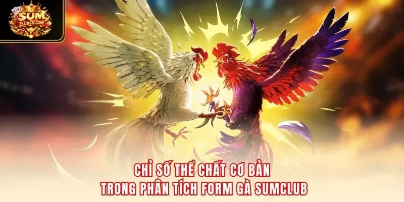 Chỉ số thể chất cơ bản trong phân tích form gà SumClub