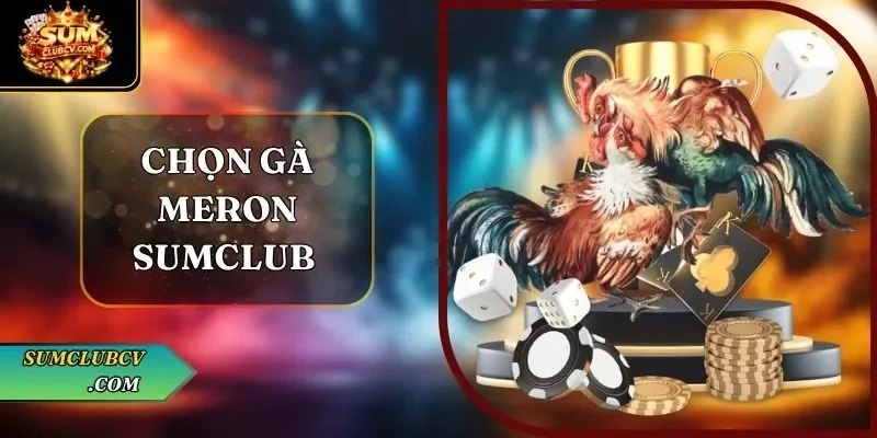 Chọn gà Meron SumClub