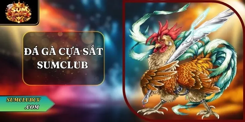 Đá gà cựa sắt SumClub