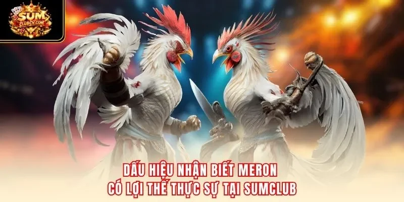 Dấu hiệu nhận biết Meron có lợi thế thực sự tại SumClub