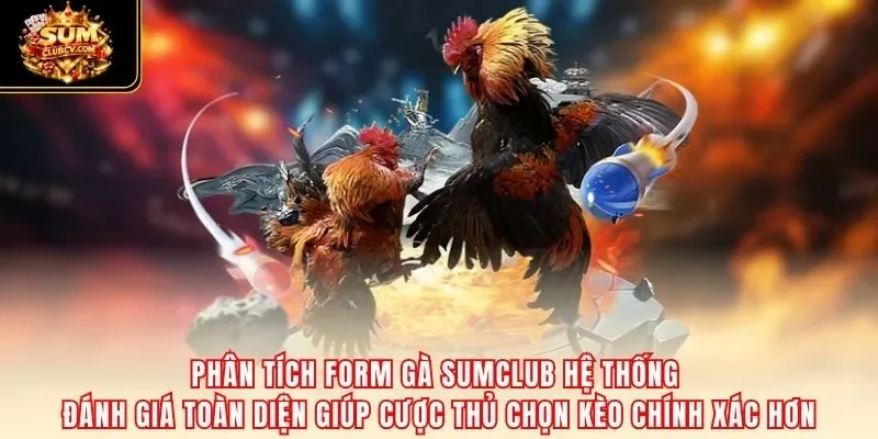 Phân tích form gà SumClub hệ thống đánh giá toàn diện giúp cược thủ chọn kèo chính xác hơn